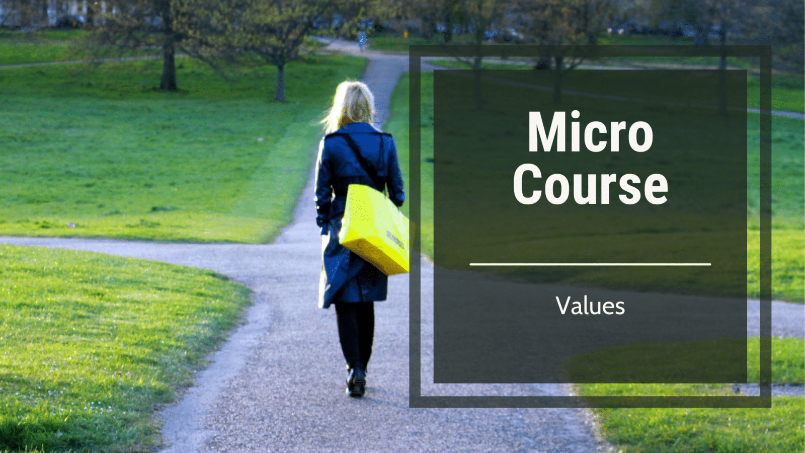 Micro-Course: Values